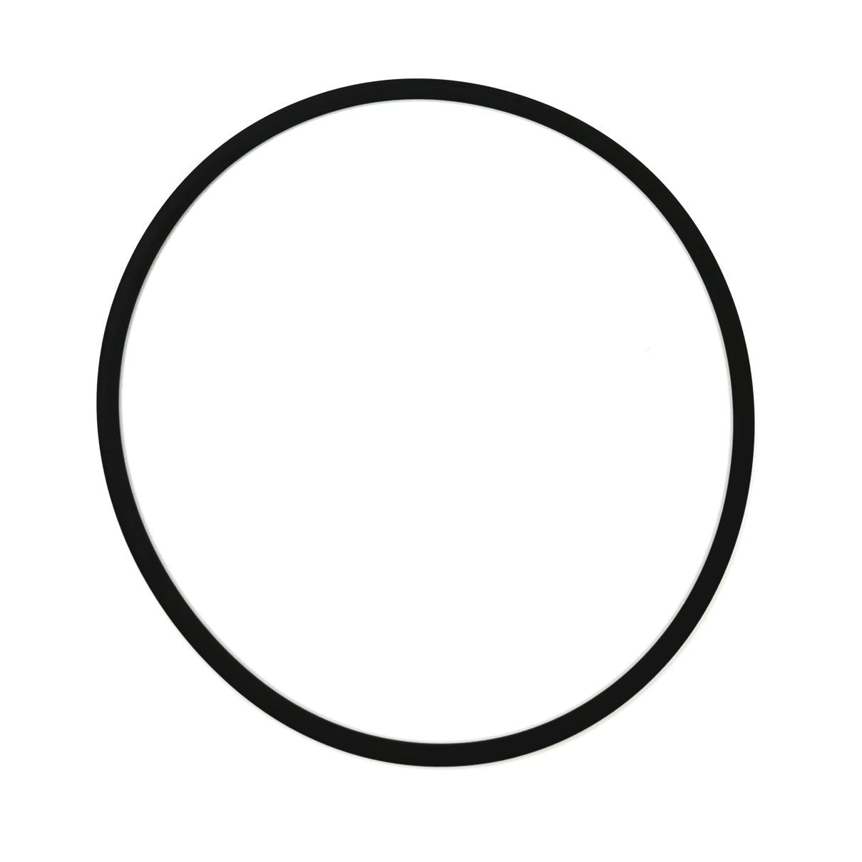 Piston Seal — PSV Villa 40 Sausage Filler
