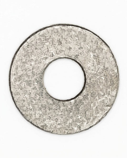 Washer for Perspex Safety Guard — Berkel 800S Slicer